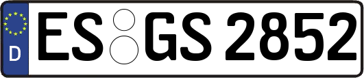 ES-GS2852