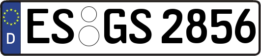 ES-GS2856