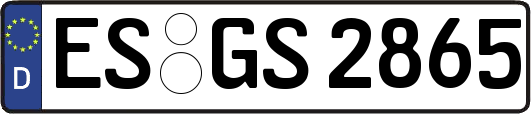 ES-GS2865