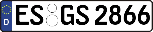 ES-GS2866