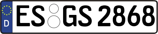 ES-GS2868