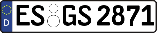 ES-GS2871