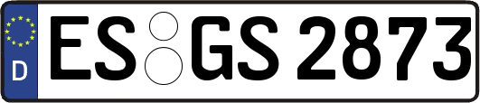 ES-GS2873