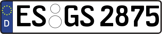ES-GS2875