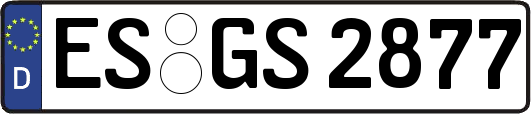 ES-GS2877