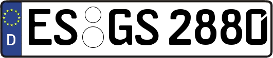 ES-GS2880