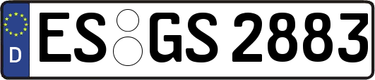 ES-GS2883