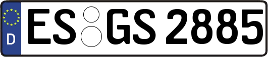 ES-GS2885