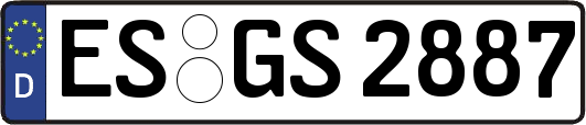 ES-GS2887