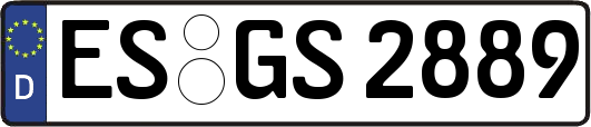 ES-GS2889