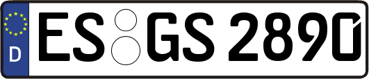 ES-GS2890
