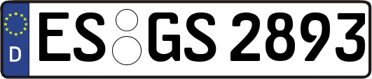 ES-GS2893
