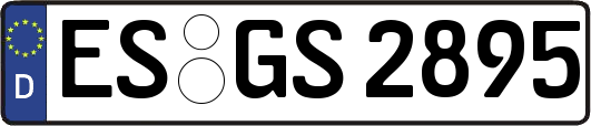 ES-GS2895