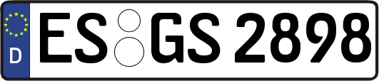 ES-GS2898