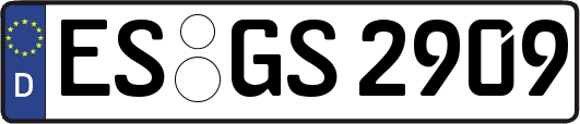 ES-GS2909