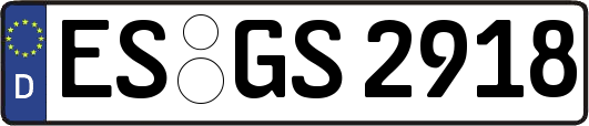 ES-GS2918