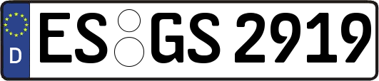 ES-GS2919