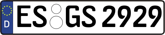 ES-GS2929