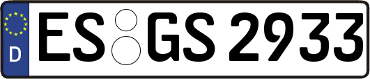 ES-GS2933
