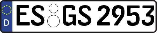 ES-GS2953