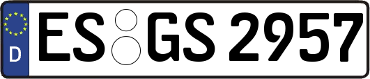ES-GS2957