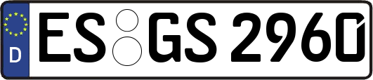 ES-GS2960