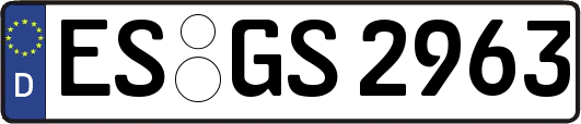 ES-GS2963
