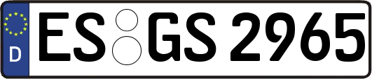 ES-GS2965