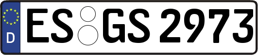 ES-GS2973