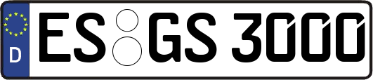 ES-GS3000
