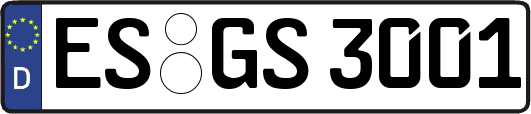 ES-GS3001