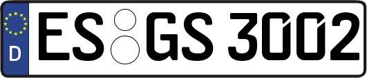 ES-GS3002