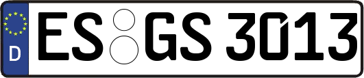 ES-GS3013