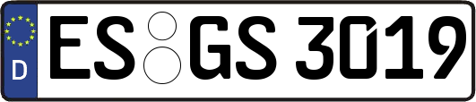 ES-GS3019