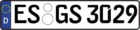 ES-GS3029