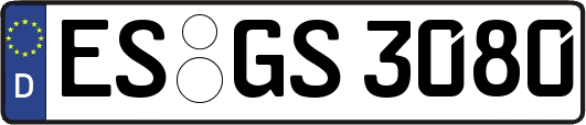 ES-GS3080