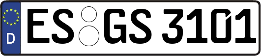 ES-GS3101