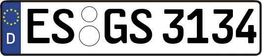 ES-GS3134