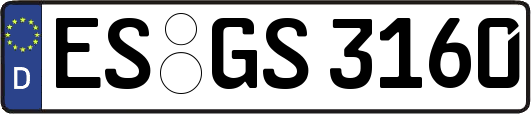 ES-GS3160