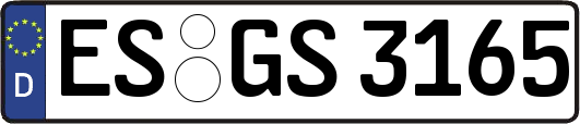 ES-GS3165