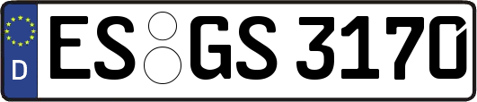 ES-GS3170