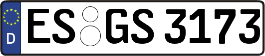 ES-GS3173