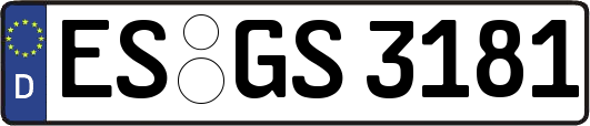 ES-GS3181