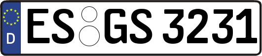 ES-GS3231