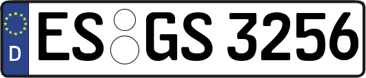 ES-GS3256