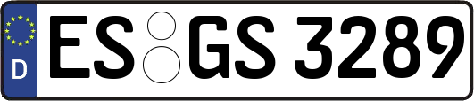 ES-GS3289
