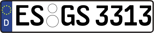ES-GS3313