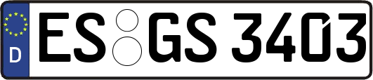 ES-GS3403
