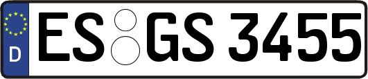 ES-GS3455