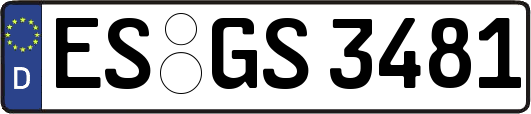 ES-GS3481